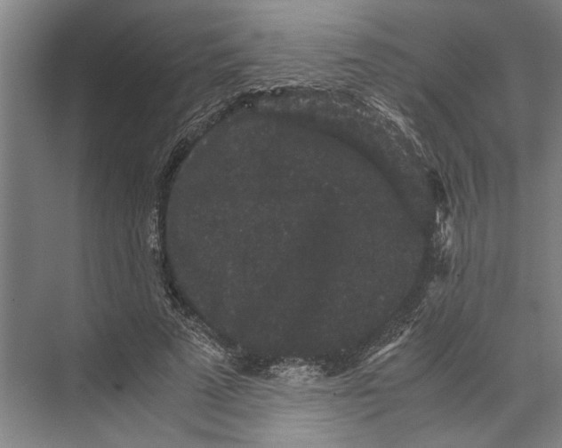 X0000071920689200608041435