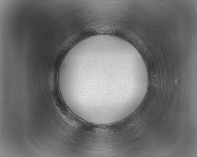 X0000071920690200608041435