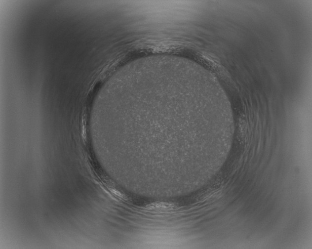 X0000071920691200608041435