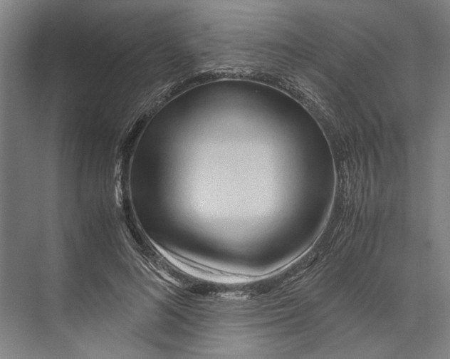 X0000071920692200608041435