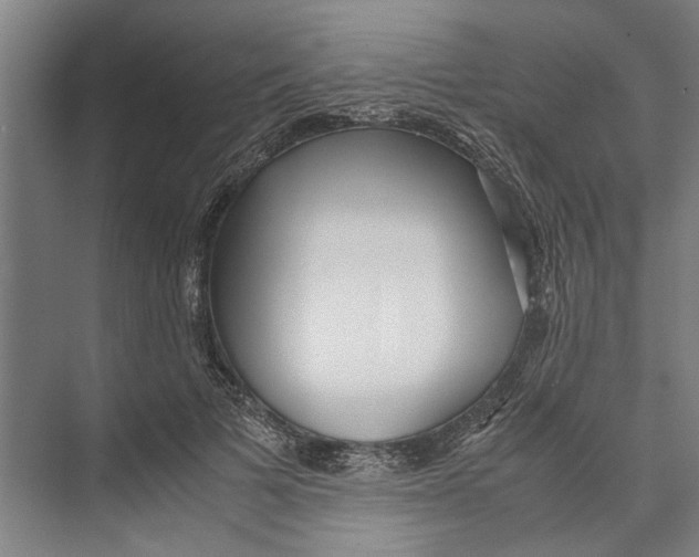 X0000071920697200608041435