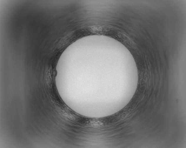 X0000071920702200608041435