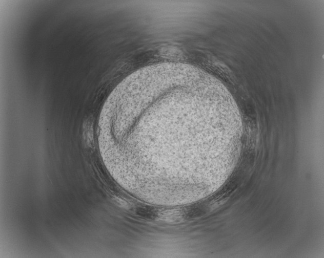 X0000071920705200608041435