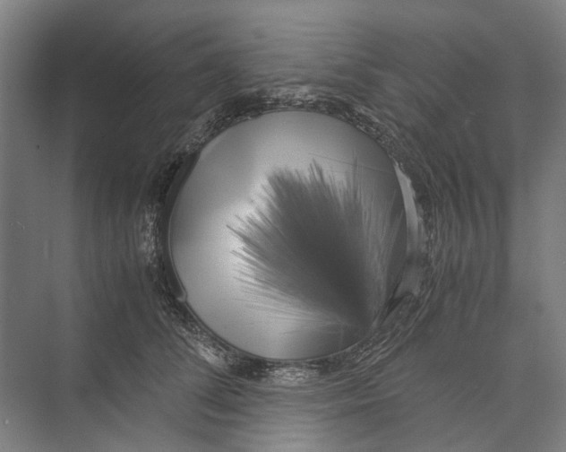 X0000071920708200608041435