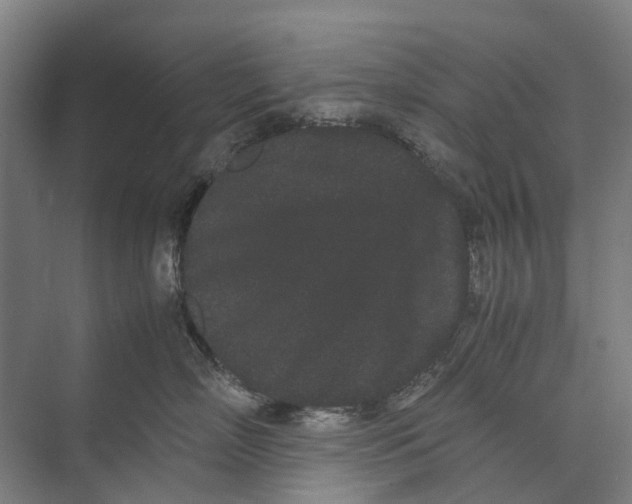 X0000071920718200608041435