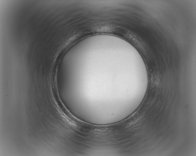 X0000071920725200608041434