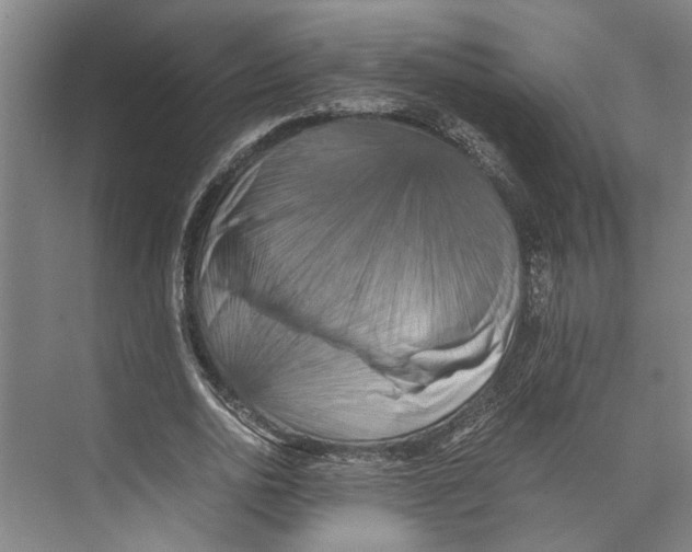 X0000071920726200608041434