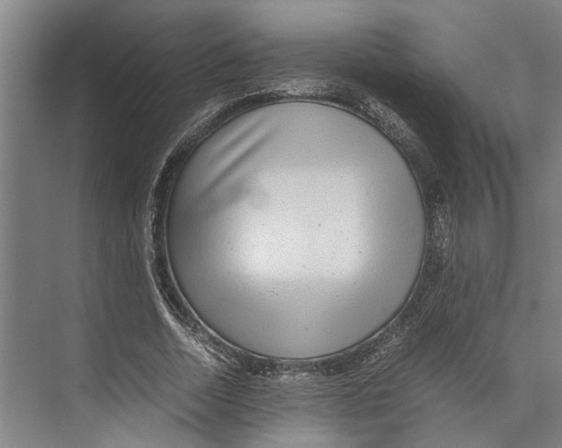 X0000071920730200608041434