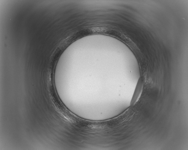 X0000071920733200608041434