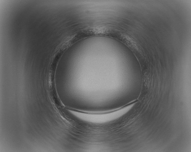 X0000071920740200608041434