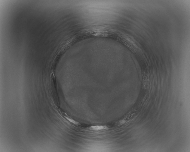 X0000071920748200608041434