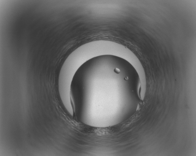 X0000071920762200608041435
