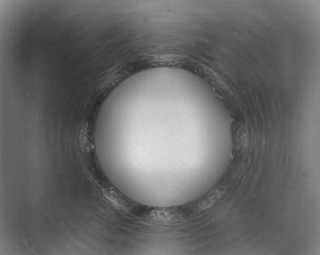 X0000071920764200608041435