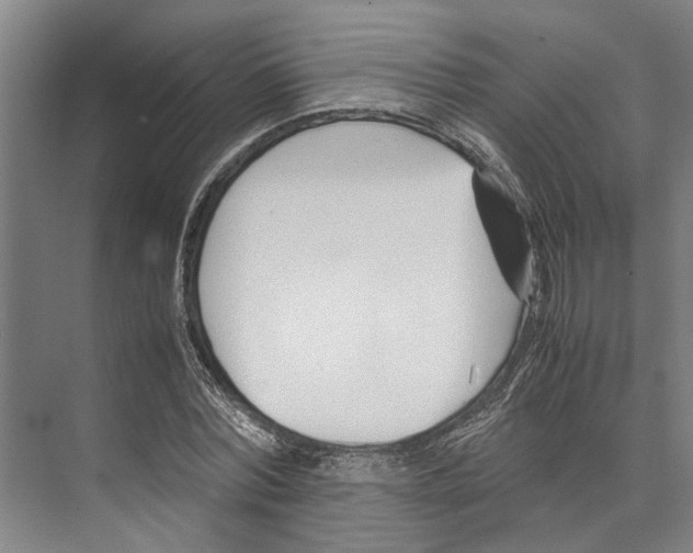 X0000071920780200608041434