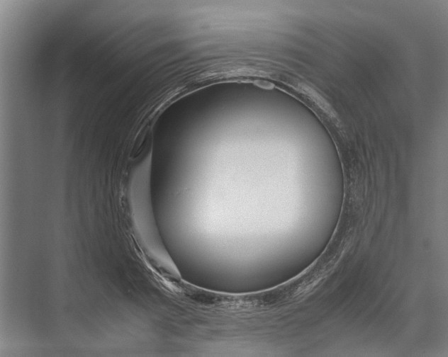 X0000071920793200608041433