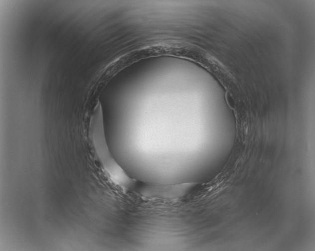 X0000071920822200608041432
