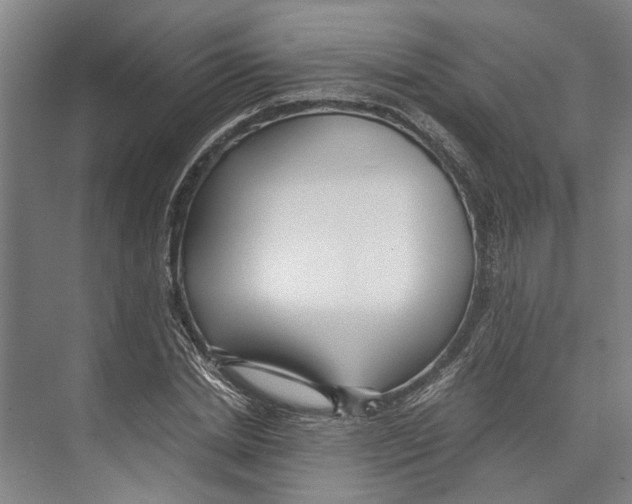 X0000071920830200608041432