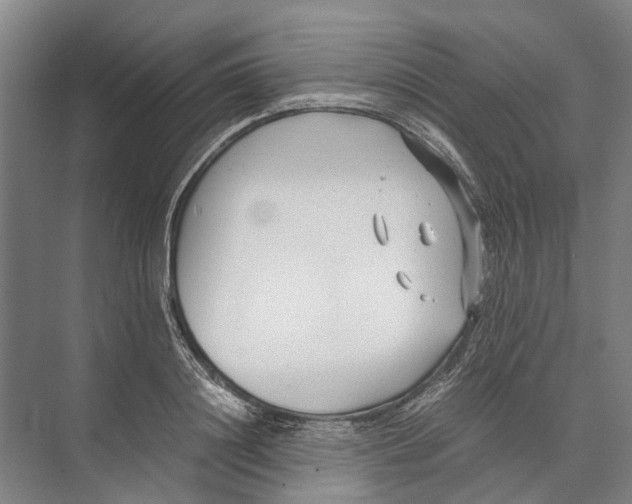 X0000071920844200608041433