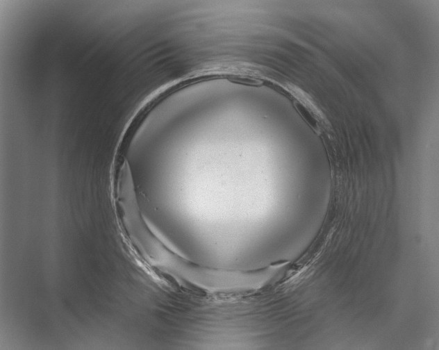 X0000071920846200608041433