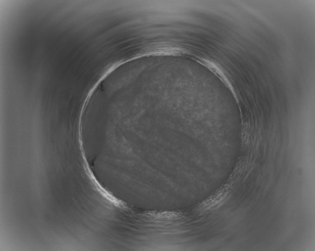 X0000071920851200608041433