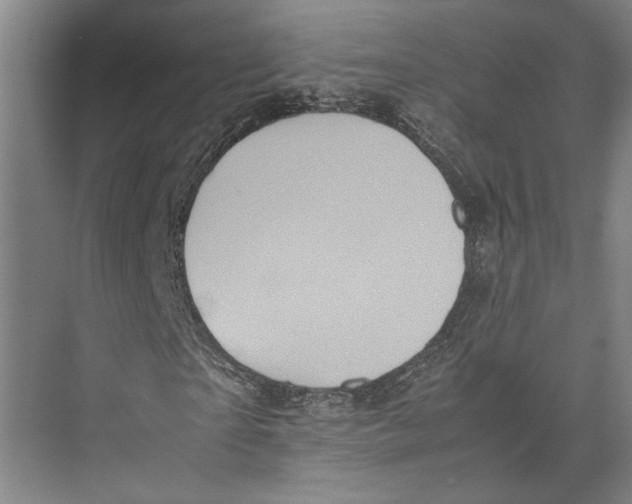 X0000071920865200608041432