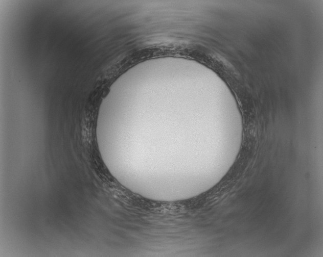 X0000071920869200608041432