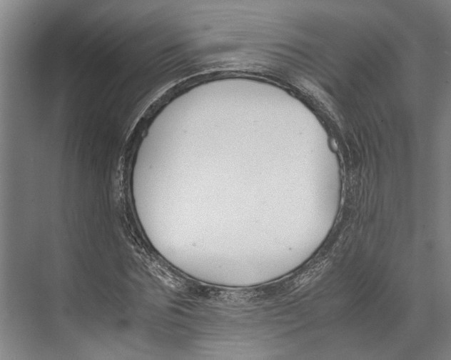 X0000071920875200608041432