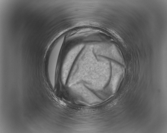 X0000071920877200608041432