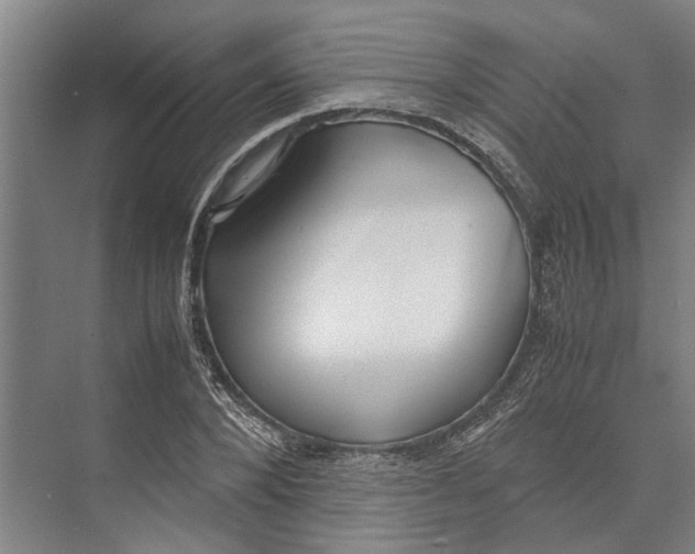 X0000071920880200608041432