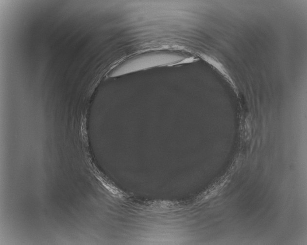 X0000071920881200608041432