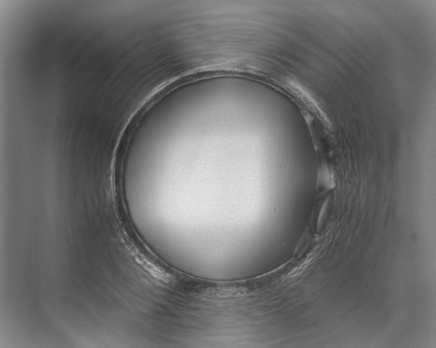 X0000071920884200608041432