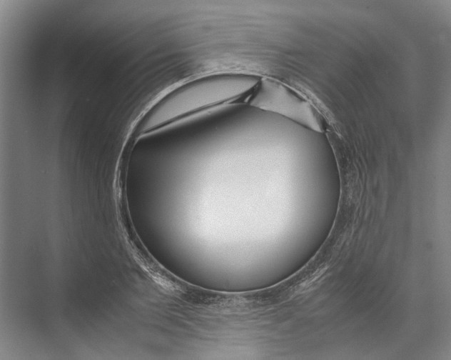 X0000071920885200608041432