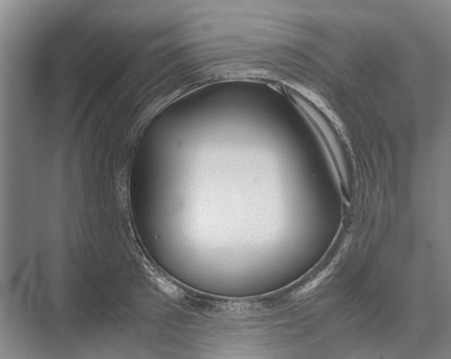 X0000071920897200608041432
