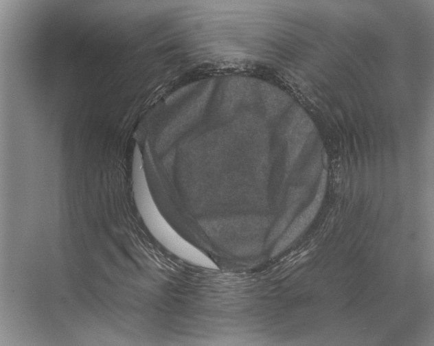 X0000071920916200608041431