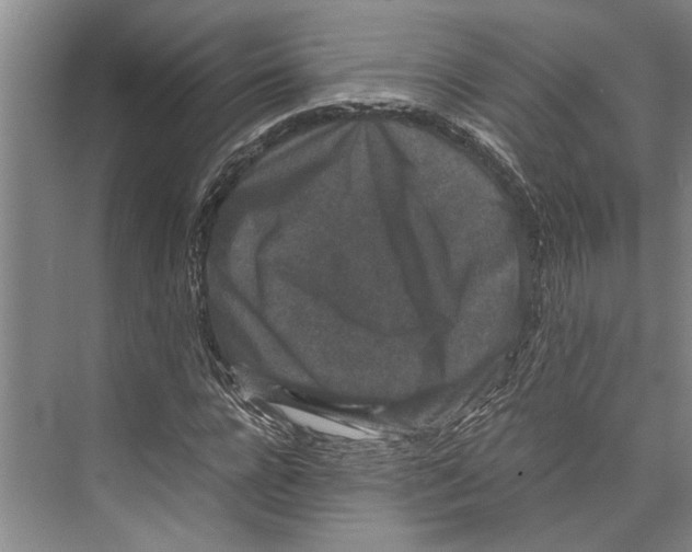 X0000071920920200608041431
