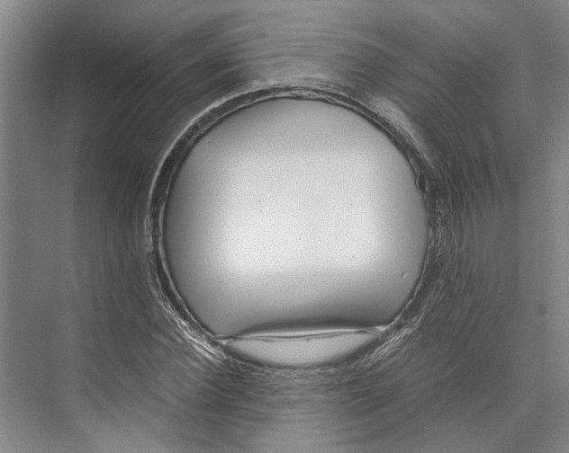 X0000071920924200608041431