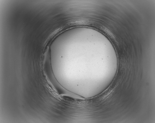 X0000071920930200608041431