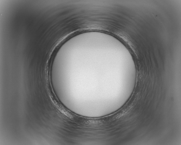X0000071920933200608041431