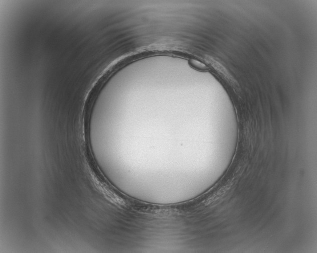 X0000071920934200608041431