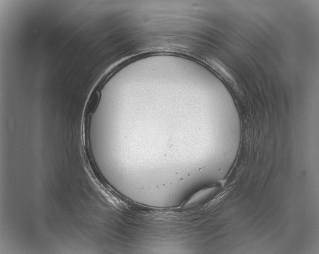 X0000071920940200608041431
