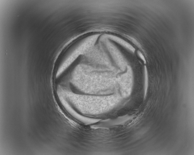 X0000071920943200608041431