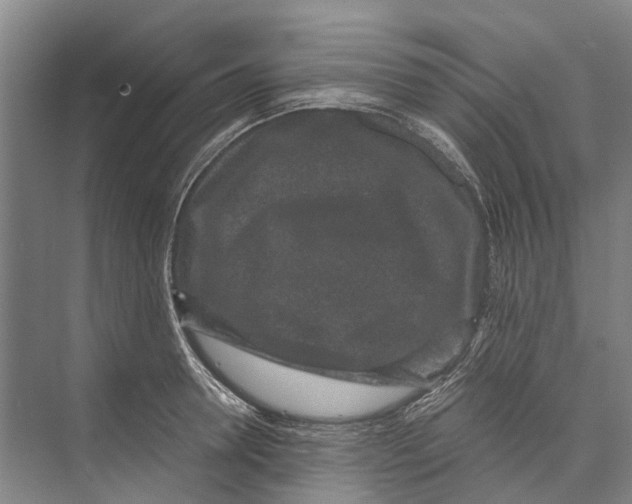 X0000071920946200608041431
