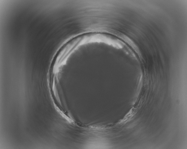 X0000071920958200608041431