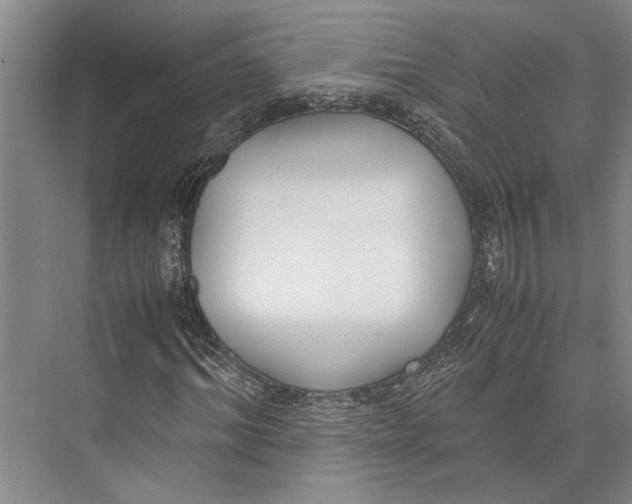 X0000071920964200608041431