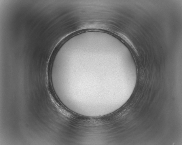X0000071920980200608041430