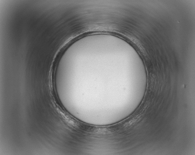 X0000071920982200608041430