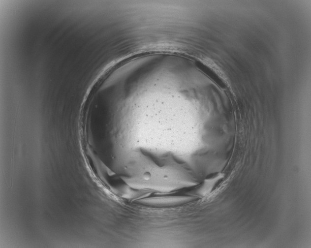 X0000071920989200608041430