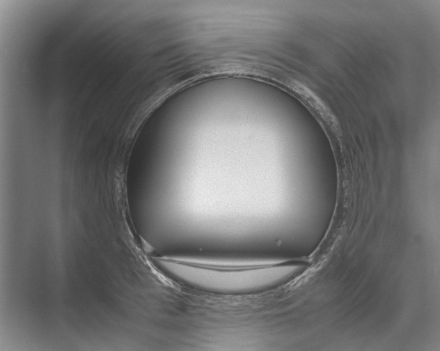 X0000071920993200608041430