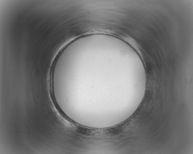 X0000071921003200608041430