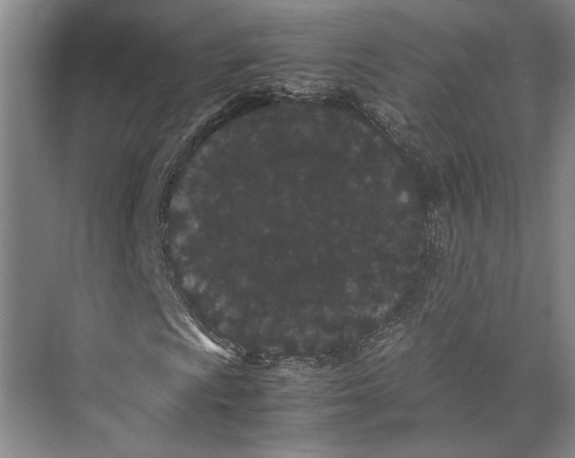 X0000071921009200608041429